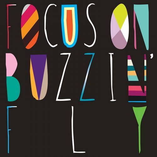 Album Art - Focus On : Buzzin' Fly Mixed by Chris Woodward