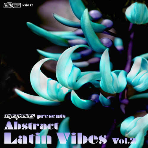 Album Art - Abstract Latin Vibes Volume 2