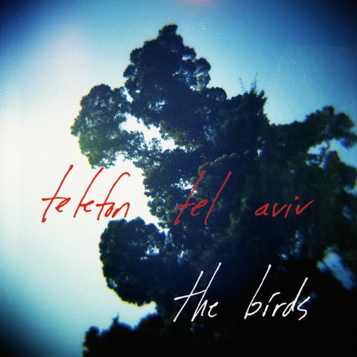 Album Art - The Birds