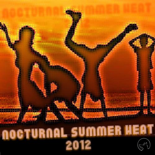 Album Art - Nocturnal Summer Heat 2012