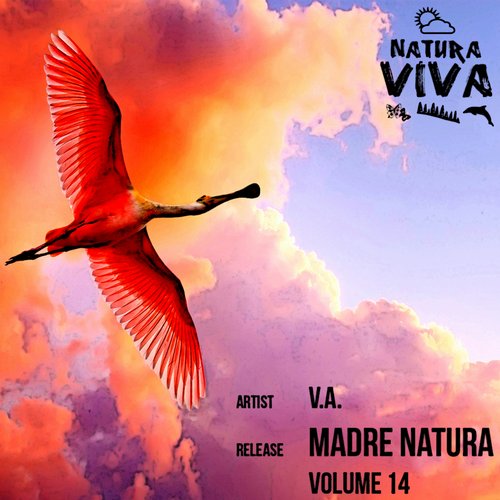 Album Art - Madre Natura Volume 14