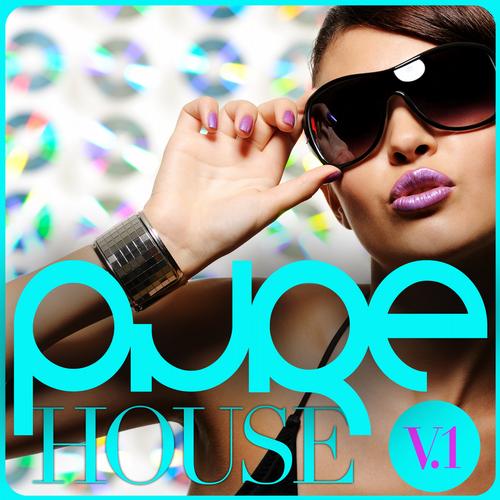 Album Art - PURE House V.1