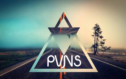 pvnss Logo