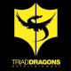 Triad Dragons Logo