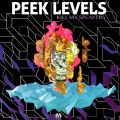 Peek Levels Logo