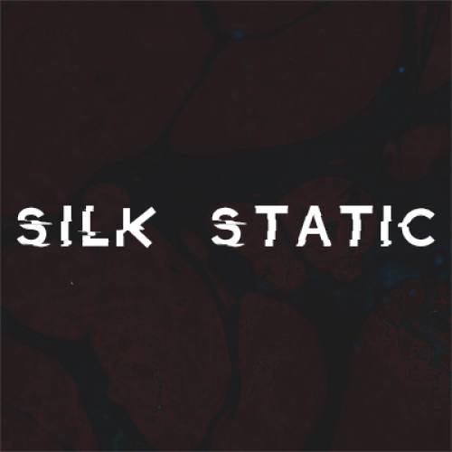 Silk Static Logo