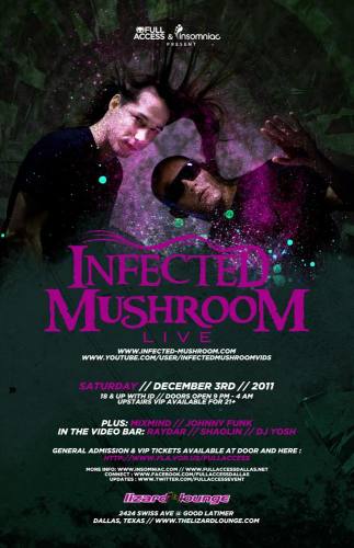 Infected Mushroom LIVE