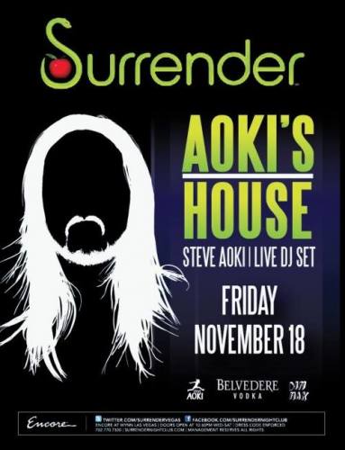 Steve Aoki @ Surrender (11/18)