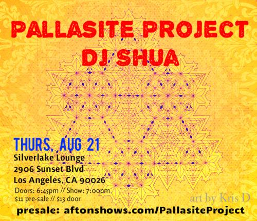 Pallasite Project (live) + DJ Shua