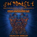 Shpongle @ Skyway Theatre (03-27-2015)