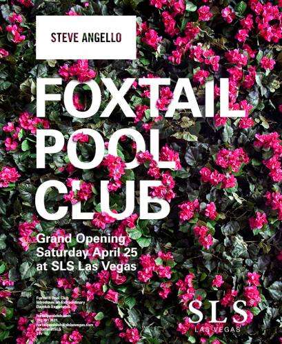 Steve Angello @ Foxtail Pool Club