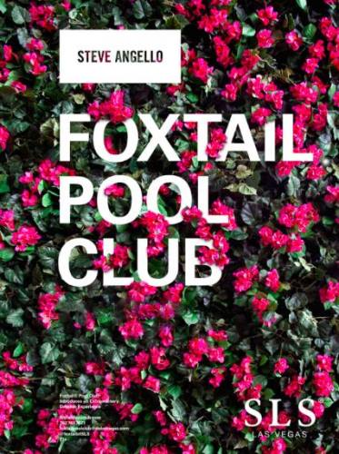 Steve Angello @ Foxtail Pool Club (06-21-2015)