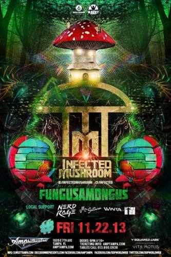 Infected Mushroom @ Amphitheatre Event Facility (11-22-2013)