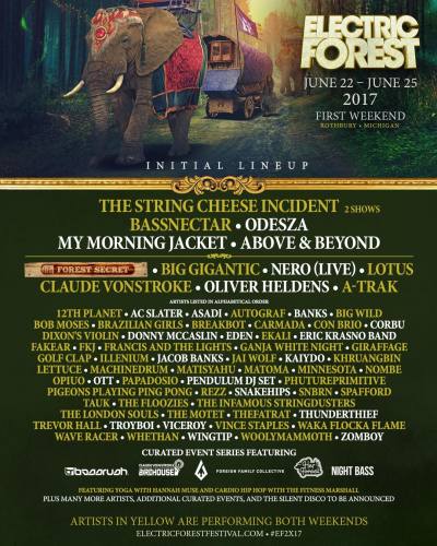 Electric Forest Festival 2017