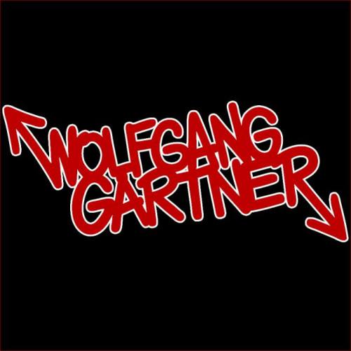 Wolfgang Gartner - Elektricity Nightclub 3.8.13