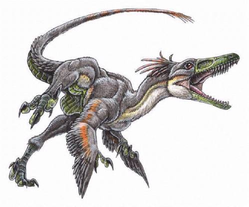 Felineasaurus Rex Logo