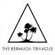 The Bermuda Triangle Logo