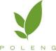Poleng Lounge Logo