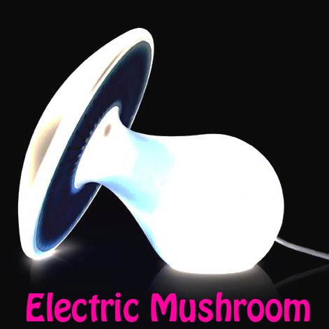 Electric Mushroom Logo