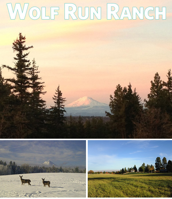 Wolf Run Ranch Logo