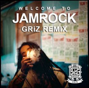 Damian Marley - Welcome to Jamrock (GRiZ Remix)