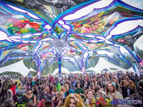 Top 10 Motion Notion 2015 Artists