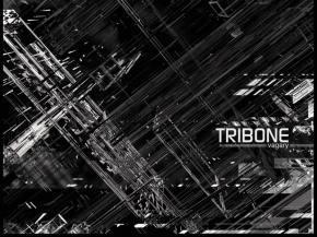 TRIBONE premieres a special mix of his Whitebear collab Preview