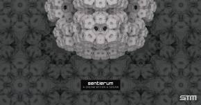 Sentierum debuts smooth cut 'A Dream Within A Dream'