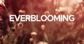 Dropkick and DeemZoo come together for 'Everblooming'